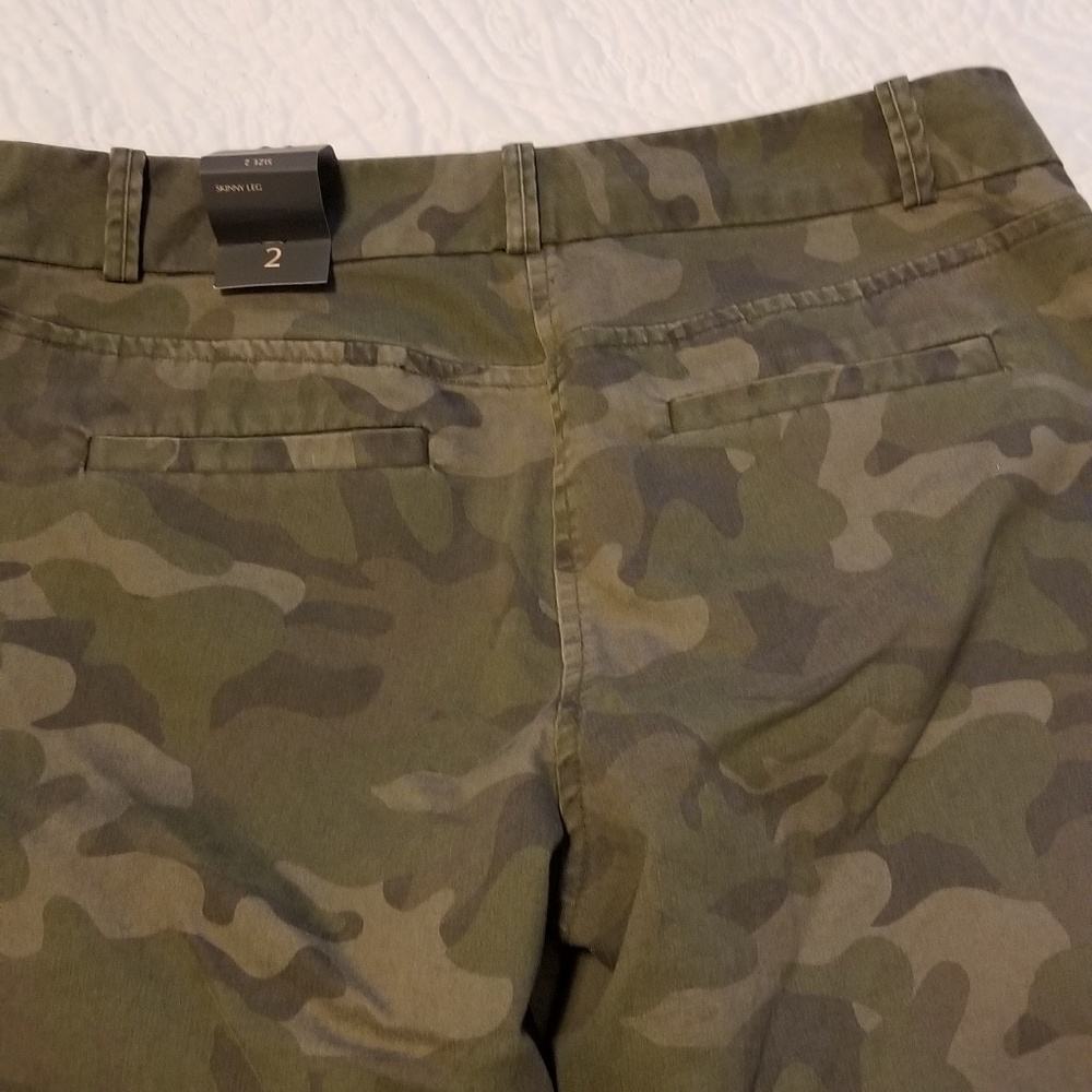 The Limited 2R pants